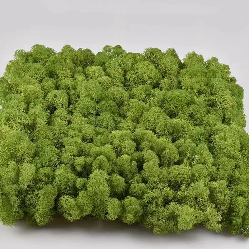 Real preserved moss  impurities fresh moss 30*30cm moss panel for  home wall decoration