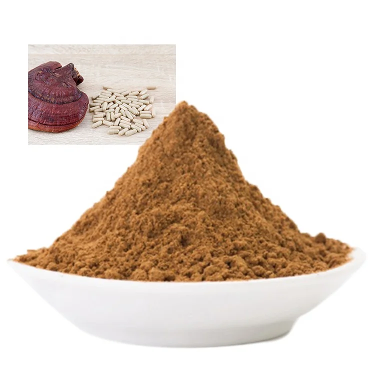 
lingzhi mushroom from thailand supplement herbal tea kidney spore powder for growing fruiting body fungus 
