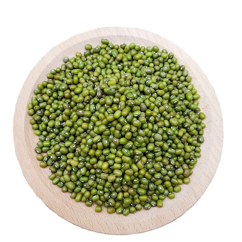New crop wholesale Green Bean dried green mung bean  25/50kg