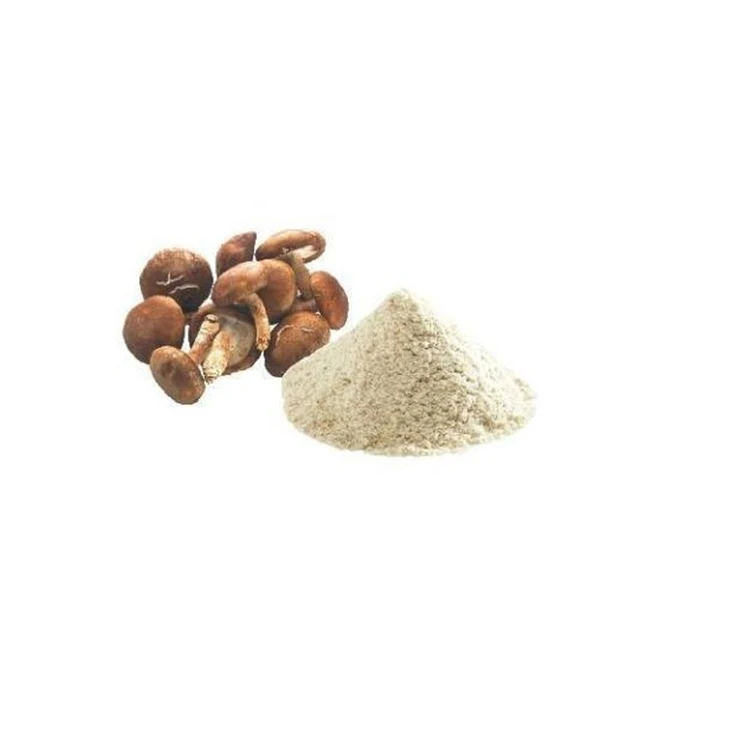 Оптовая продажа, товары для пищеварения на заказ, 100 г, порошок грибов Shiitake Hypathisis для пищевого питания