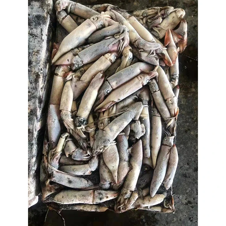 Новое поступление высокое качество морепродукты цена на свежий кальмар замороженный черный для