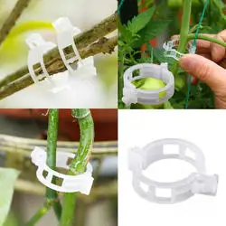 New Durable Plant Support Clips Vine Garden Vegetables Tomato 25mm For Types Plants Hanging Plastic Clip