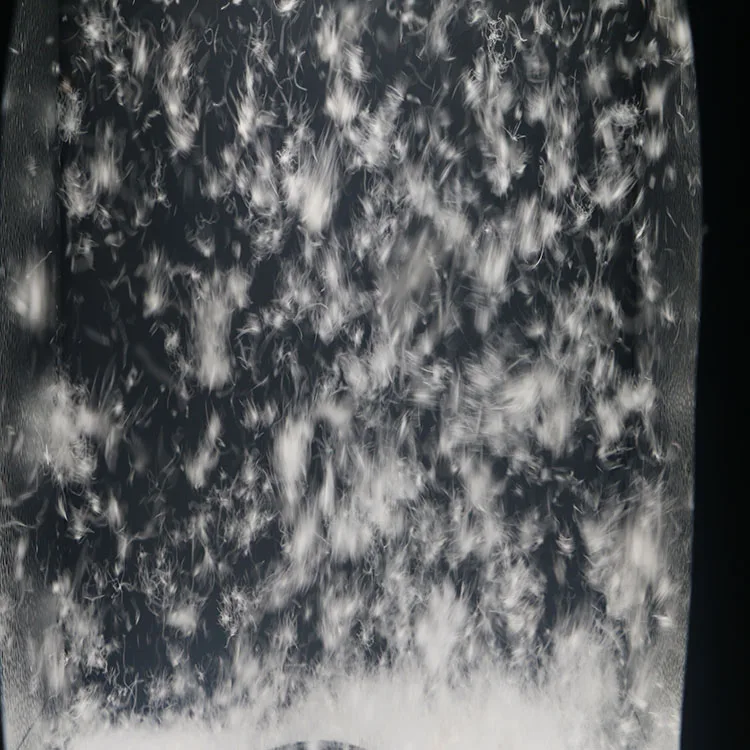 Wholesale 90% Washed White Duck Down feather Goose Down Feather