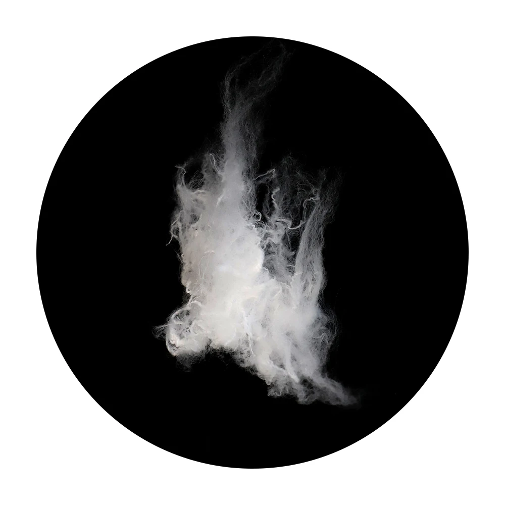 15DX51mm luster high viscosity high strength PA66 nylon 66 staple fiber for carpet