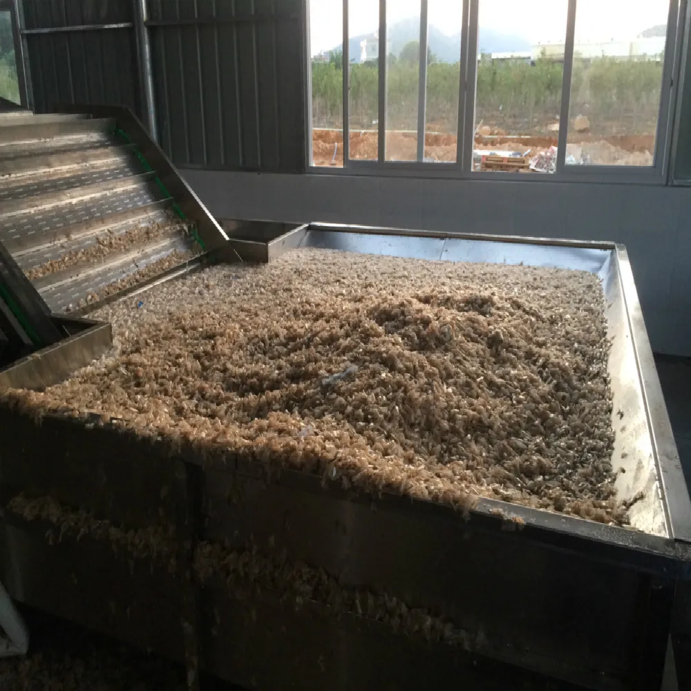 DWT Series Seaweed Waste Dehydrated Vegetable belt dryer  Production Line