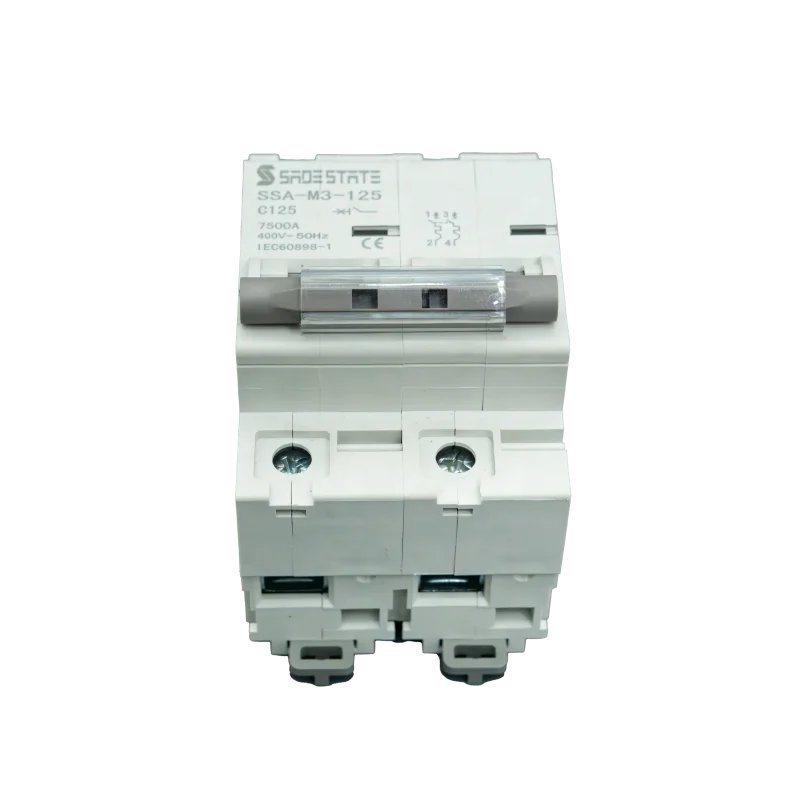 50/60hz Rated Mcb Circuit Breaker Flame Retardant Plastic Molded Case 125A 2P Miniature Circuit Breakers