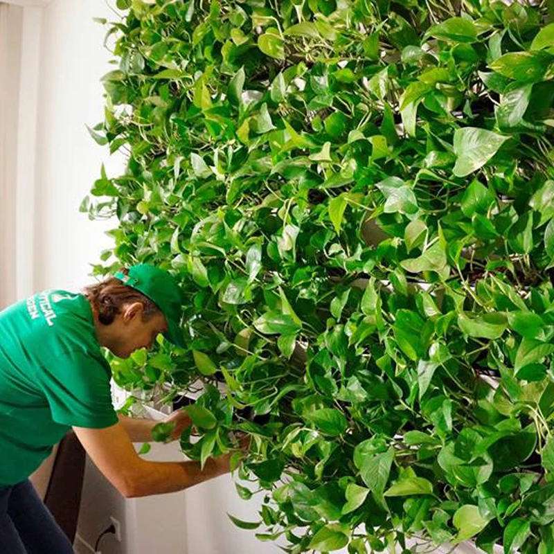 
alibaba china supplier home decor garden wall mounted plant pots 