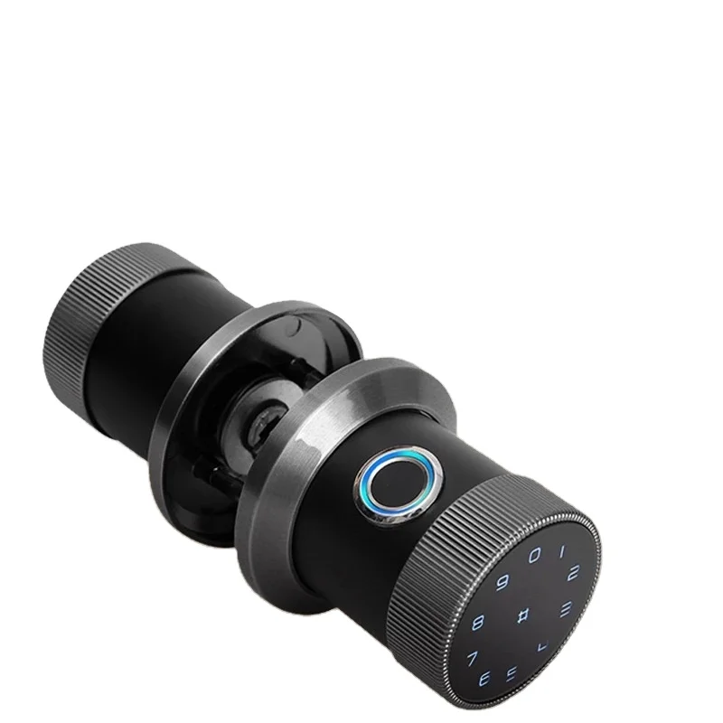 BT Biometric Identification Control Fingerprint Lock TTlock App Control supports RFID KEY Opening Smart Door Lock