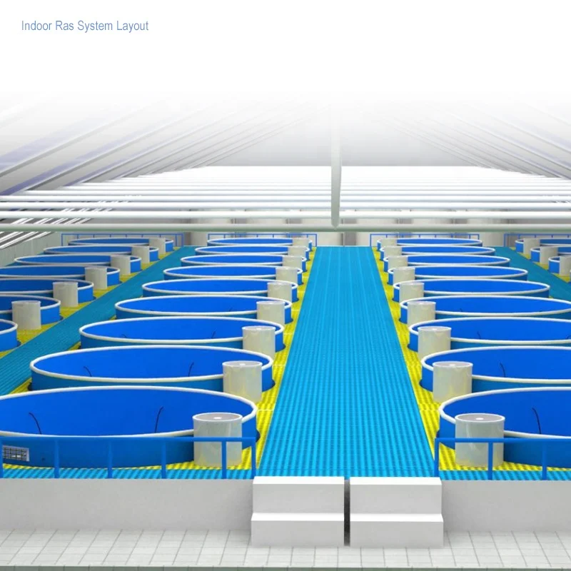 Huron custom freshwater prawn aquaculture recirculating ras system for fish farming