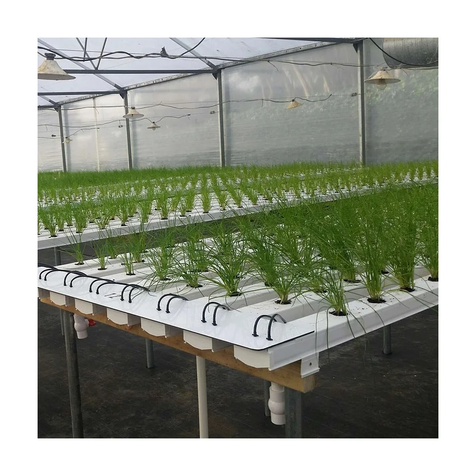 Hydroponic Nft System Vertical Hydroponic Growing System PVC Pipe for Lettuce Strawberry