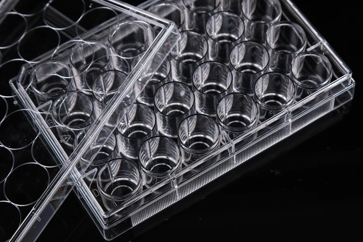 glass bottom cell culture dish