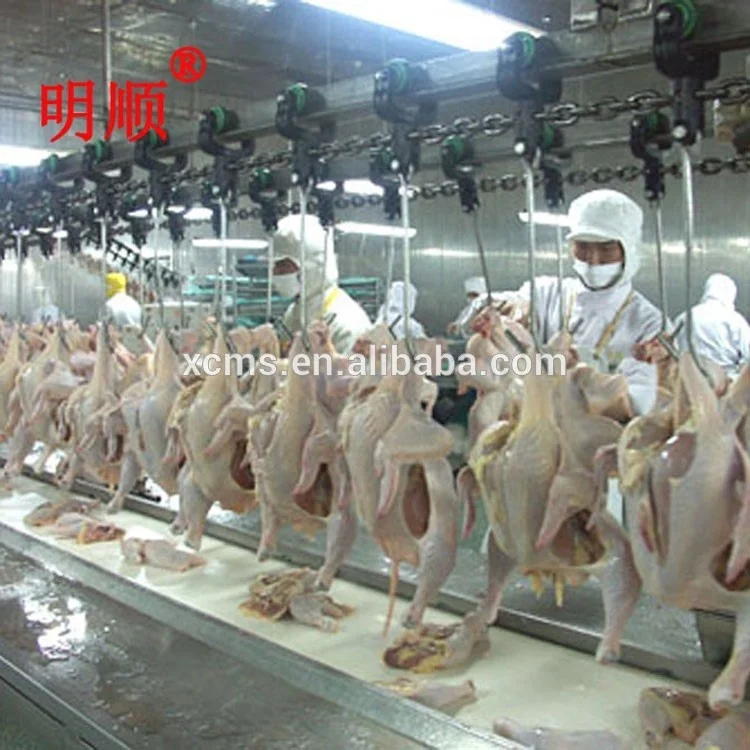 automatic chicken killing line machine / chicken slaughterhouse manufacturer /poultry slaughter machine