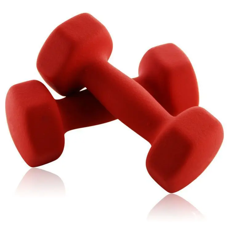 Hot Sale Custom Logo Gym Equipment Fitness Accessories Plastic Coated Dumbbell