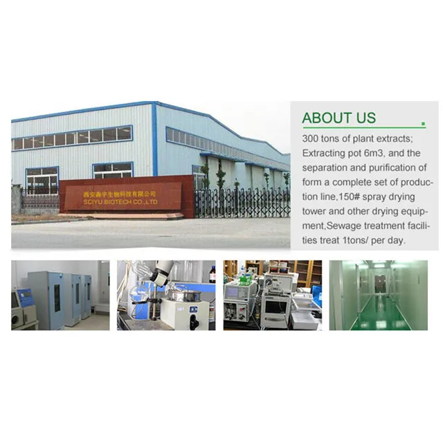 
Factory supply natural free sample organic labisia pumila extract for women health 