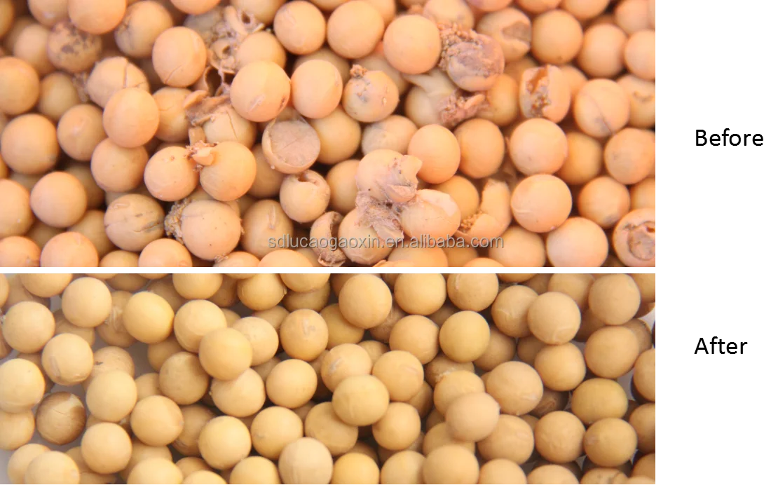soybean clean