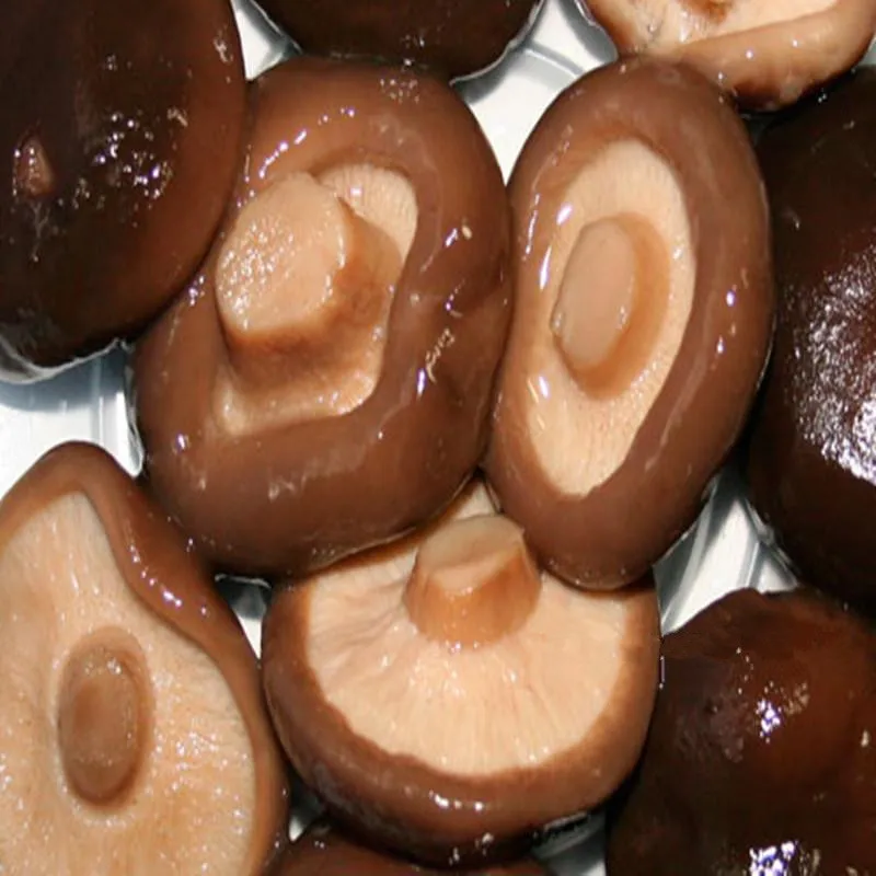 canned pu-ko mushroom shiitake mushroom farms