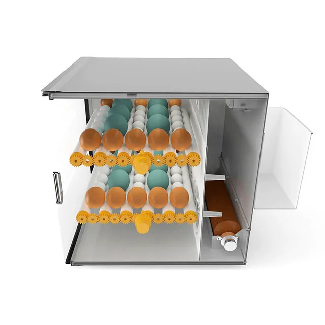 ML-60 egg incubator