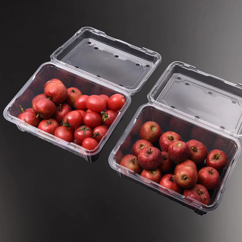 Disposable RPET PET Plastic Storage Container Clear Clamshell Blister Custom Grape Blueberry Tomato 500g Fruit Packaging Box