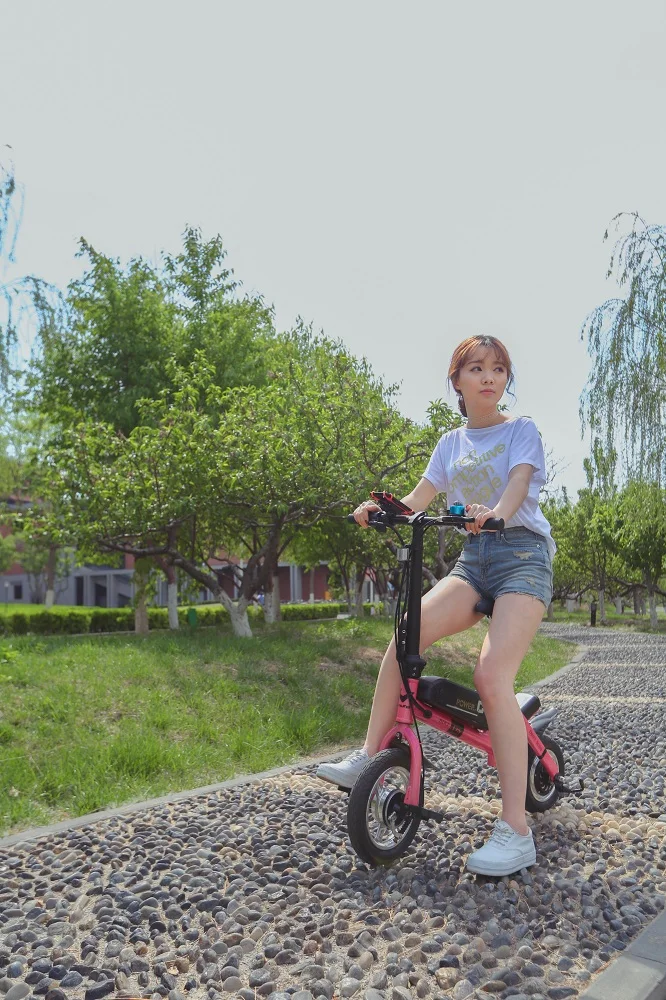 C1Mini Lightweight Cheap Price ebike  36V 350W 12inch Folding Electric bicycle C1 e bike