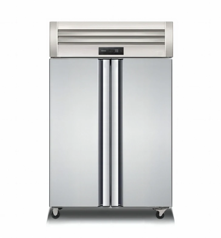 Commercial single temperature Double Door Upright freezer Refrigerator for food storage
