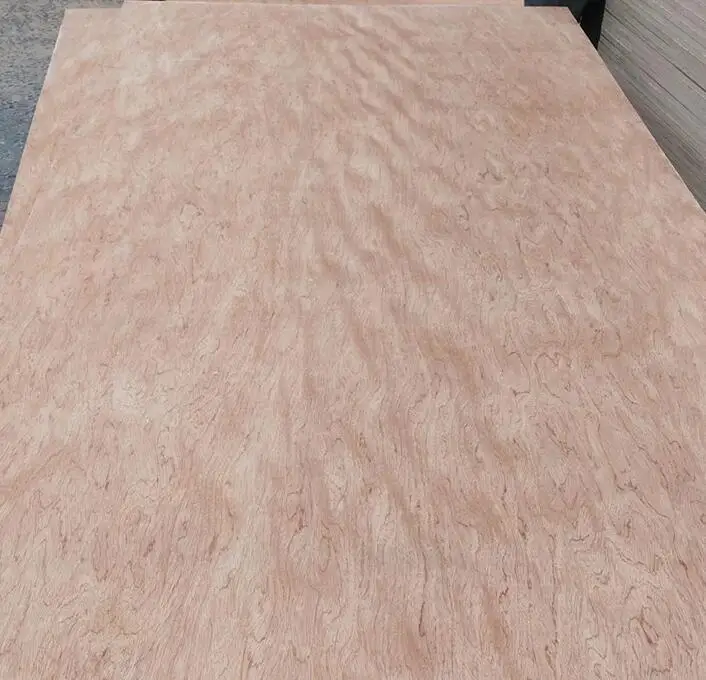 ForaKing Linyi factory 3mm 5mm 9mm 12mm 15mm 18mm Bintangor plywood/okoume plywood/red hardwood plywood with competitive price