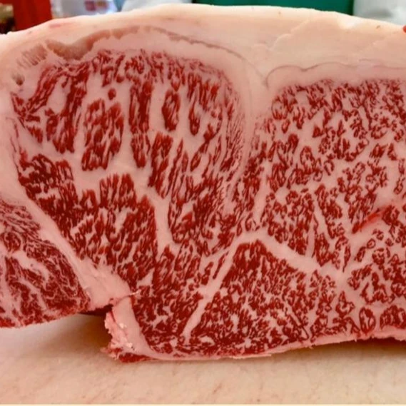 Premium halal beef Omi wagyu for Restaurant use