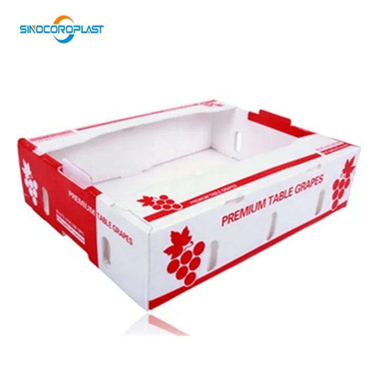 Factory direct waterproof plastic cartons for vegetable and fruit cartons and agricultural asparagus boxes