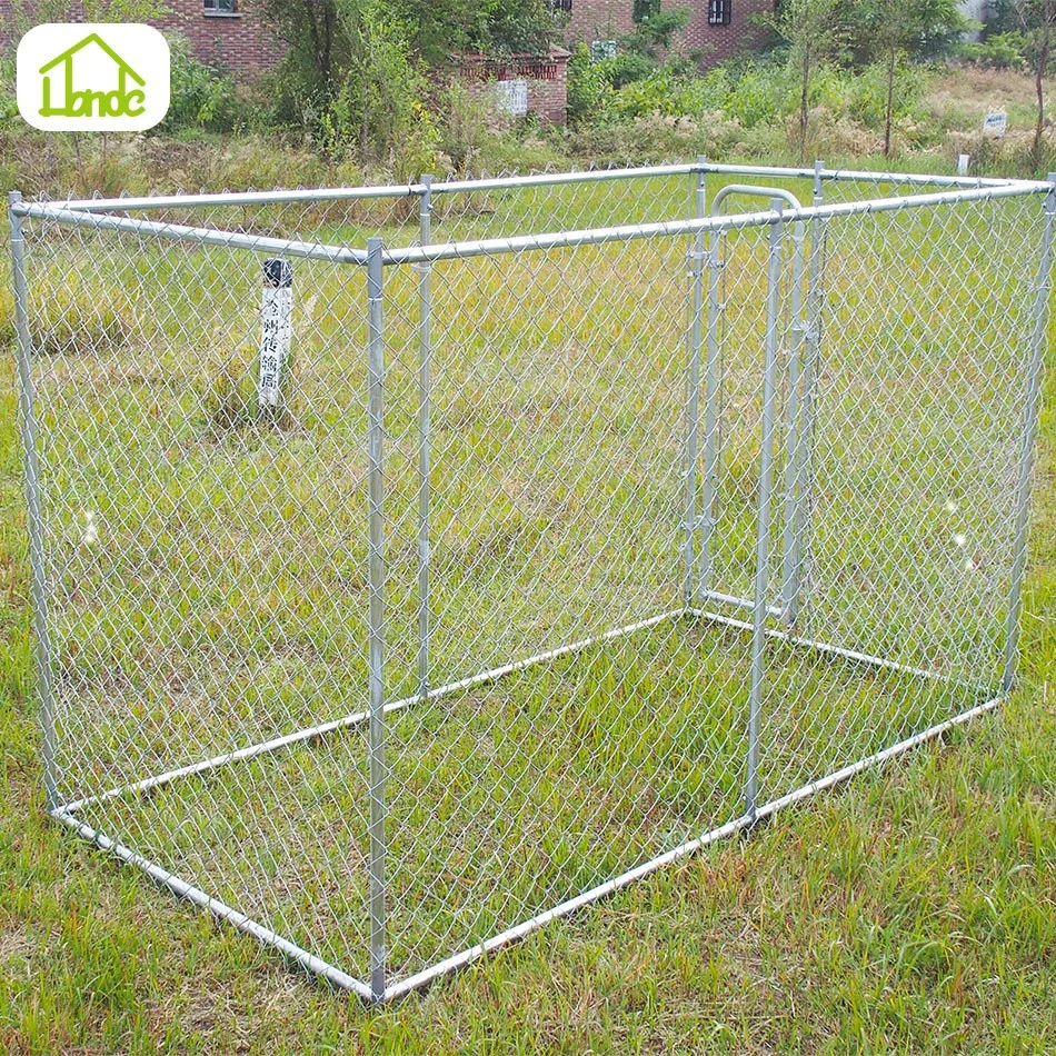 Chain link pet cages mating dogs and women