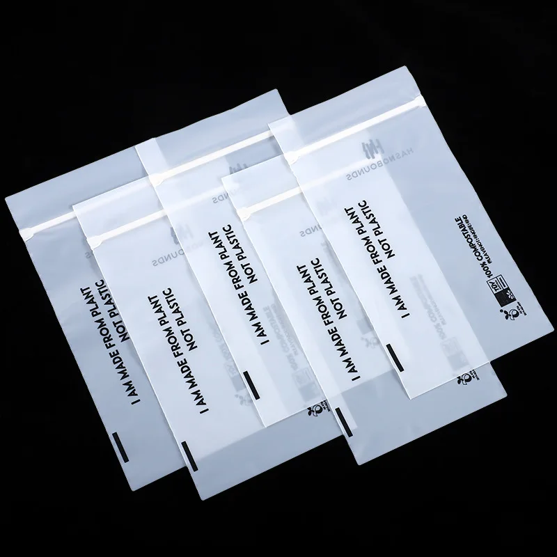 Wholesale Printing Logo Frosted Zipper Packing Plastic Poly Bag Custom Zipper Biodegradable Packaging For Clothing