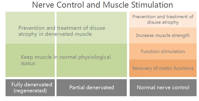 Hot Sell  Wireless Electro-therapy Device Eletromagnetic Muscle Stimulator TENS NMES