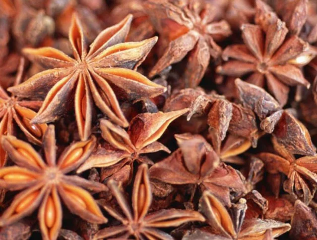 Hot Air recycle Drying Machine vegetable Dryer  dried star anise dryer