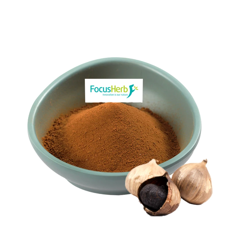
FocusHerb Natural S-allyl-cystine Fermented Black Garlic Extract Powder 