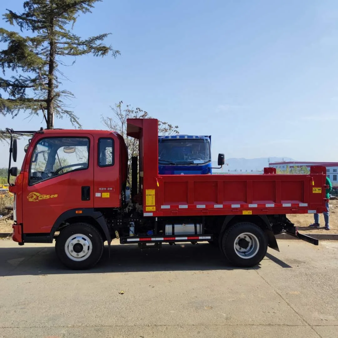 SINOTRUK CDW HOWO 4x2 Light Dump Truck Tipper for HOTsale-737B5A