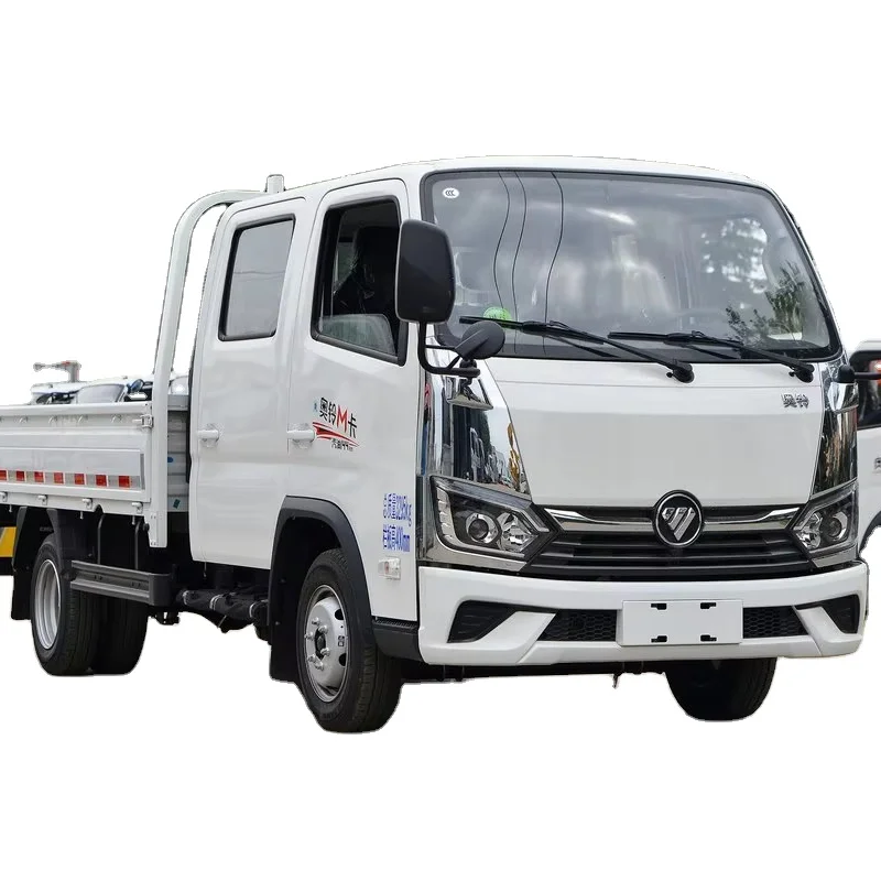 Hot Sale 4X2 LHD 1.6L 122HP Petrol Small Mini Light Foton 3.3 Meters Cargo Truck