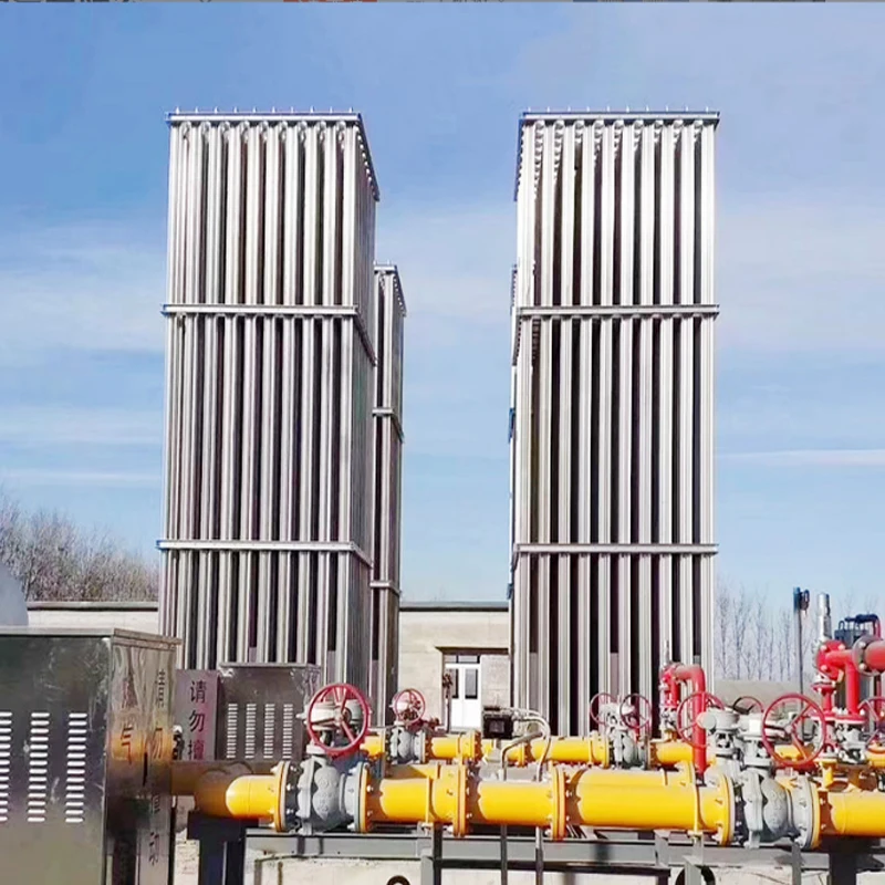 LNG Regasification Skid Systems