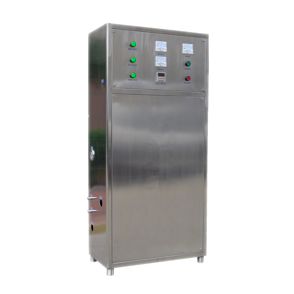 Best BNP SOZ-YWGL 10g commerical ozone water generator for laundry wash car fruit vegetable room surface cleaning food storage