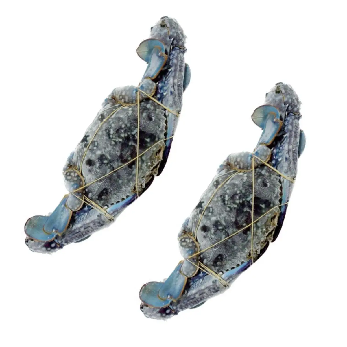 Frozen Blue Swimming Crab Whole Round Best Quality Seafood from Indonesia Portunus Pelagicus