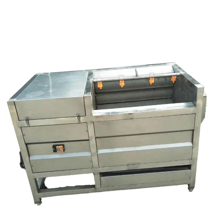 Industrial small Carrot ginger peeling machine sweet potato washing and peeling machine Brush cleaning peeling machine price