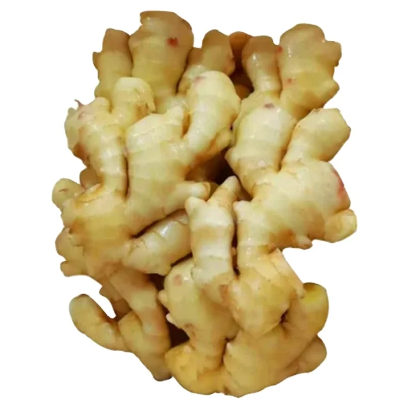 Wholesale Fresh Ginger Red Ginger Top Quality Frozen Peeled Ginger with Good Price