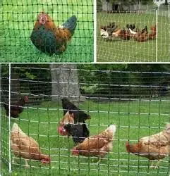  Поставка экструдированного птицеводства сетка для курицы птицеводство