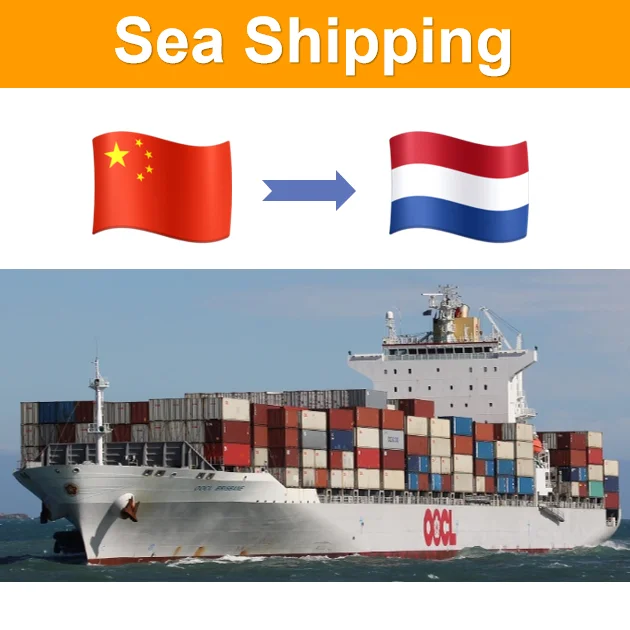 Fast FCL 40HQ Sea Freight forwarding DDP from Shenzhen China to the Netherlands with Customs clearance and Door to Door Services