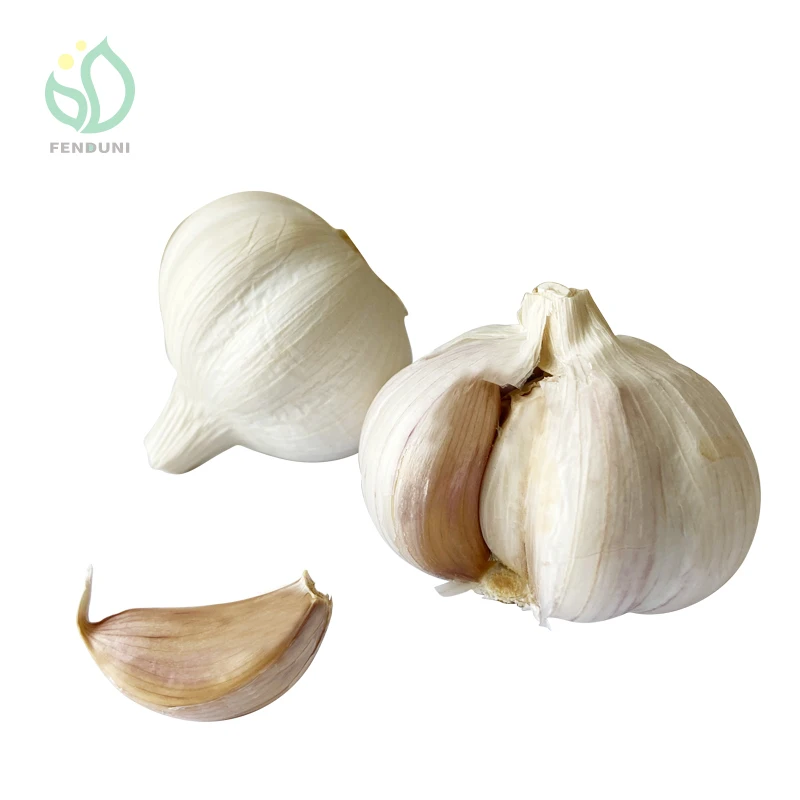 Fast delivery from factory fresh garlic red/white garlic 5.0cm alho dried garlic with wholesale price