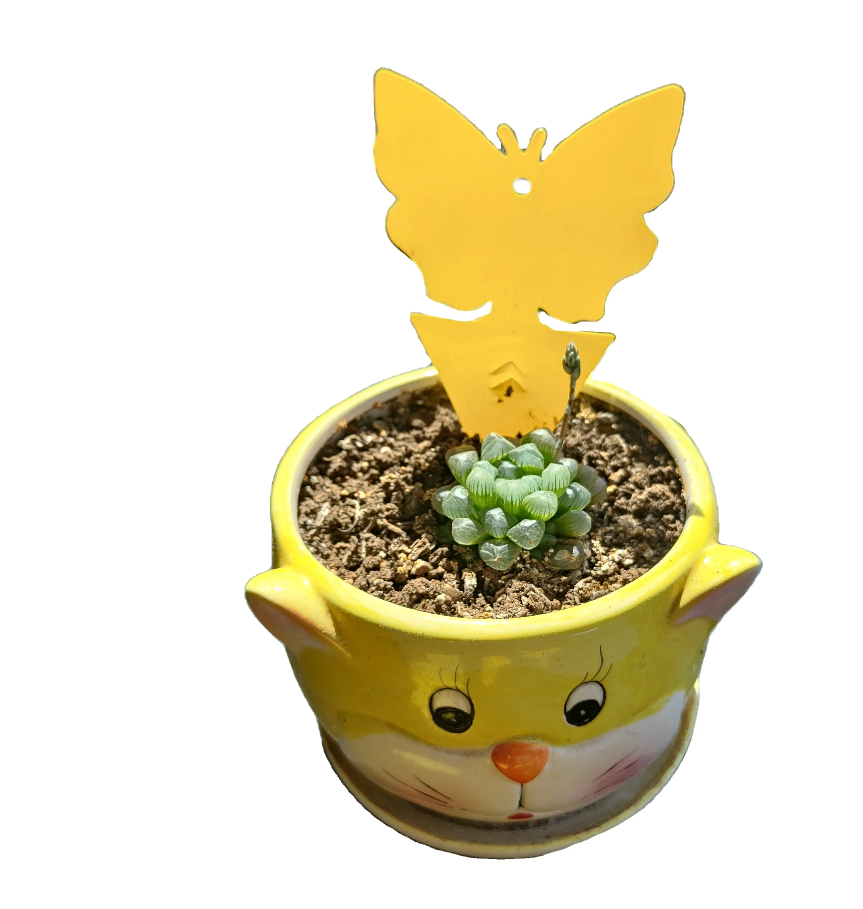 Garden Insect Catcher StickyButterfly Glue Trap