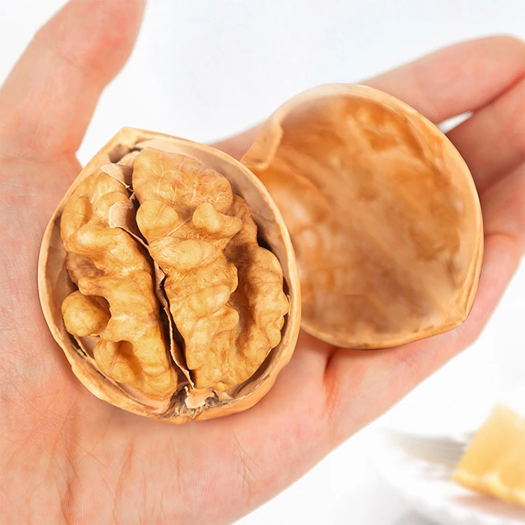 Best selling walnuts Cheap price organic raw walnuts Vietnam