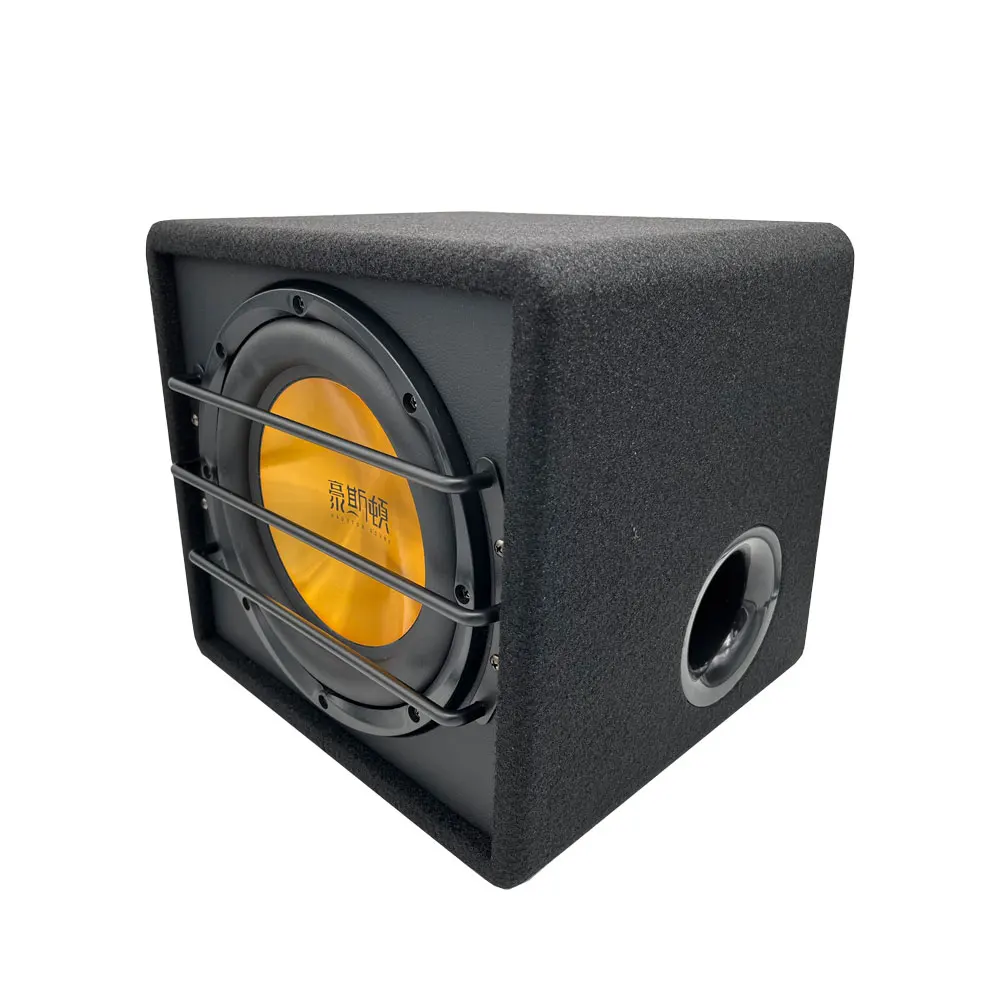 Factory hot sale Good quality High power car subwoofer with box and amplifier Car Active subwoofer