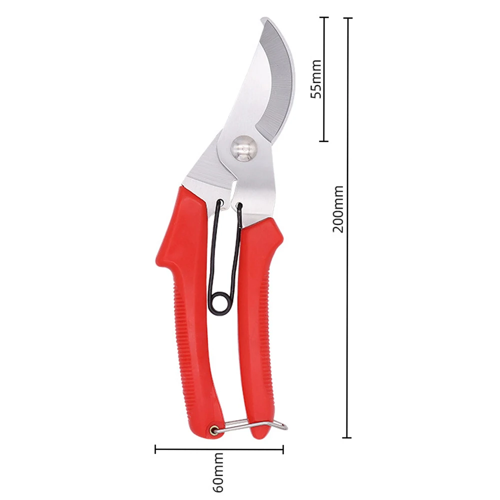 small grape trimming tree seedlings bonsai tools garden scissors pruner