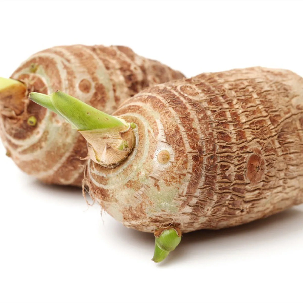 Export natural fresh taro new harvest taro wholesale top grade Chinese delicious taro