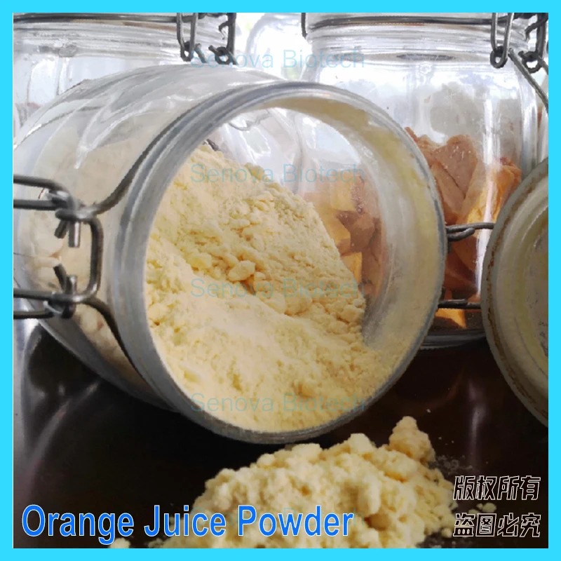 Small Home Business Food Soup Dessert Grain Yeast Vacuum Freeze Drier