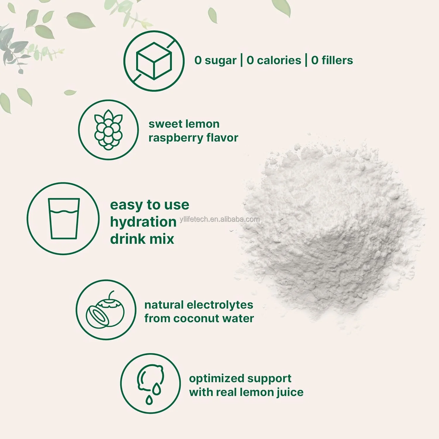 GMP Private Label Electrolyte Powder Keto Sugar Free OEM Electrolyte Hydration Powder