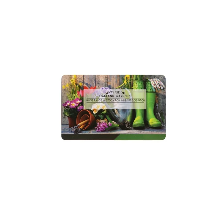 CMYK Printed Plastic Cards Access Control Card Fudan FM11RF08  HF RFID Smart Card